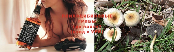 2c-b Липки