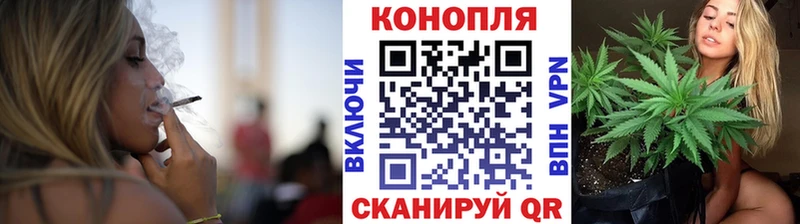 omg зеркало  Мирный  Шишки марихуана гибрид  где продают наркотики 